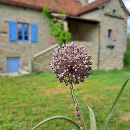 Maison Typique Du Quercy ! Prázdninový dům *